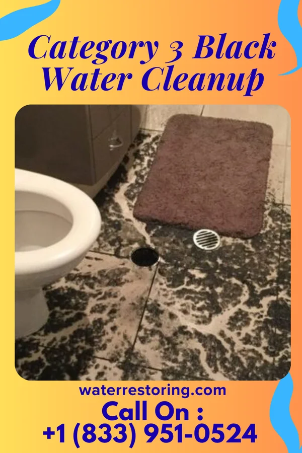 Category 3 Black Water Cleanup in West Liberty, WV