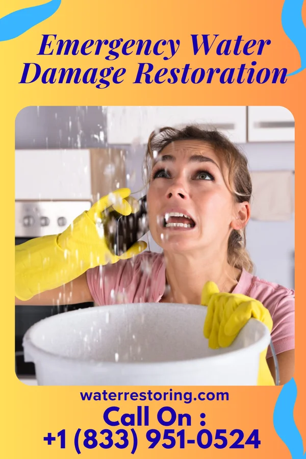 Emergency Water Damage Restoration in West Liberty, WV