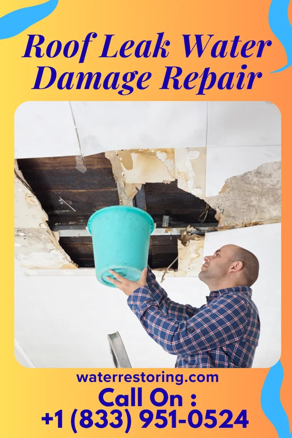 Roof Leak Water Damage Repair in West Liberty, WV